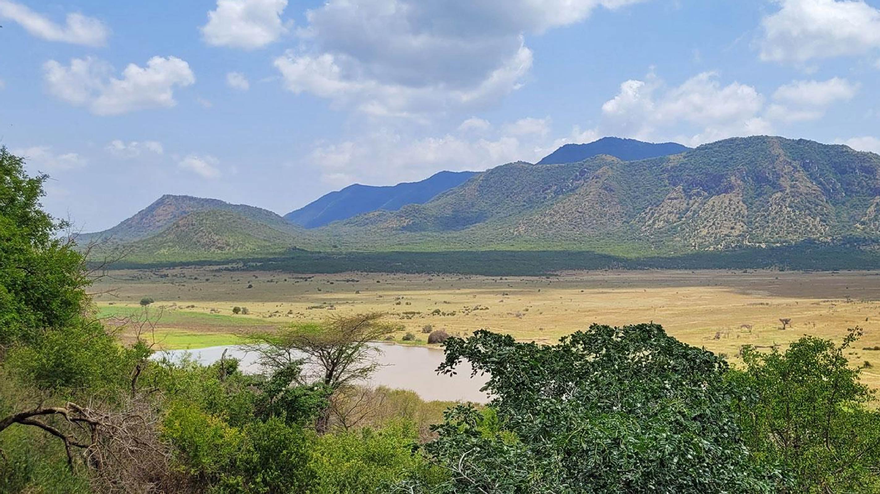 Mkomazi National Park